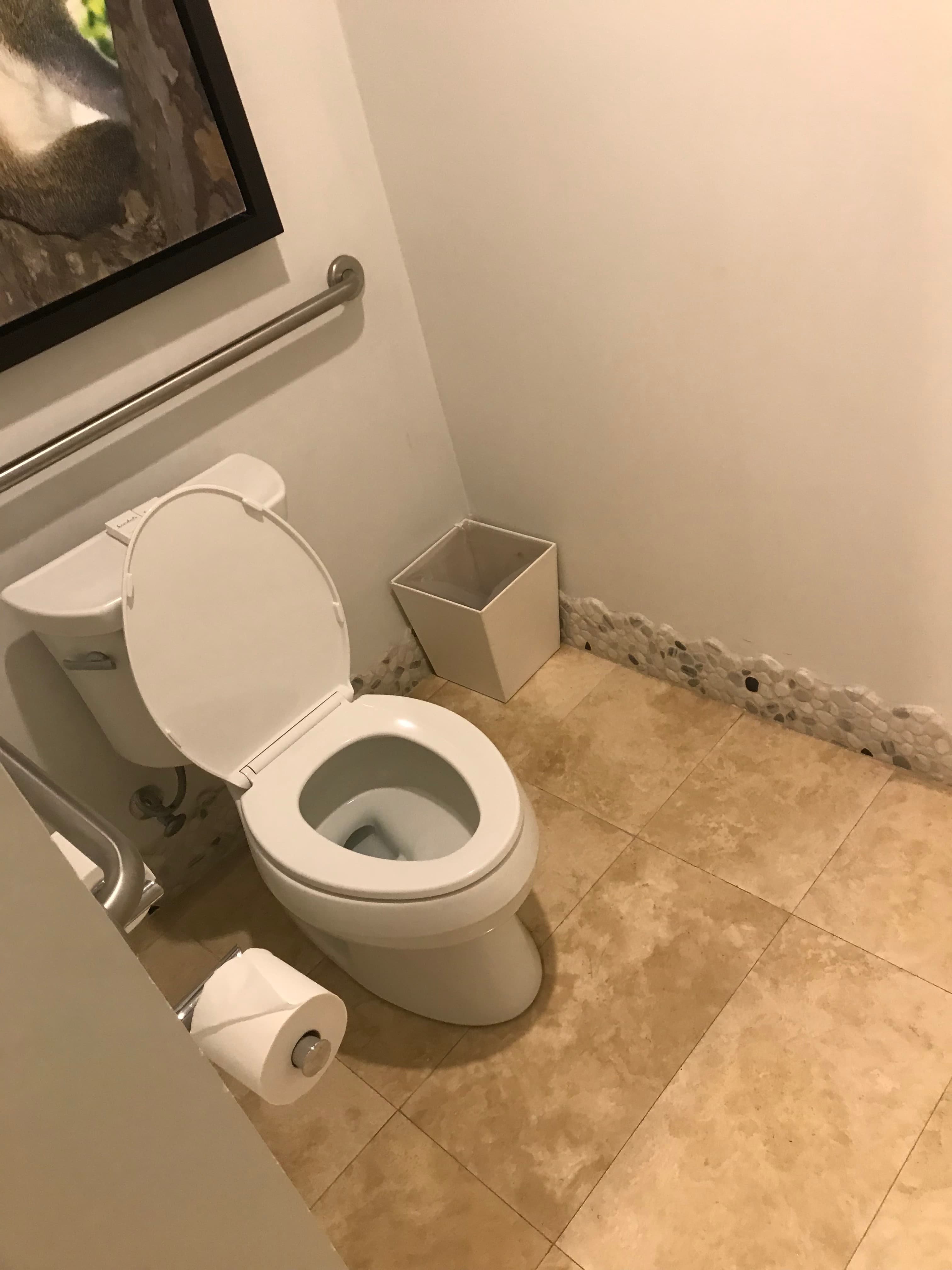 Toilet room with grab bars