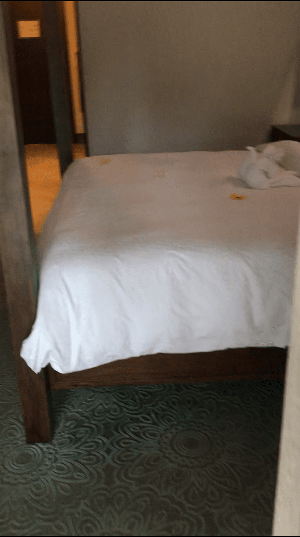 Bed was not very high, easy transfer